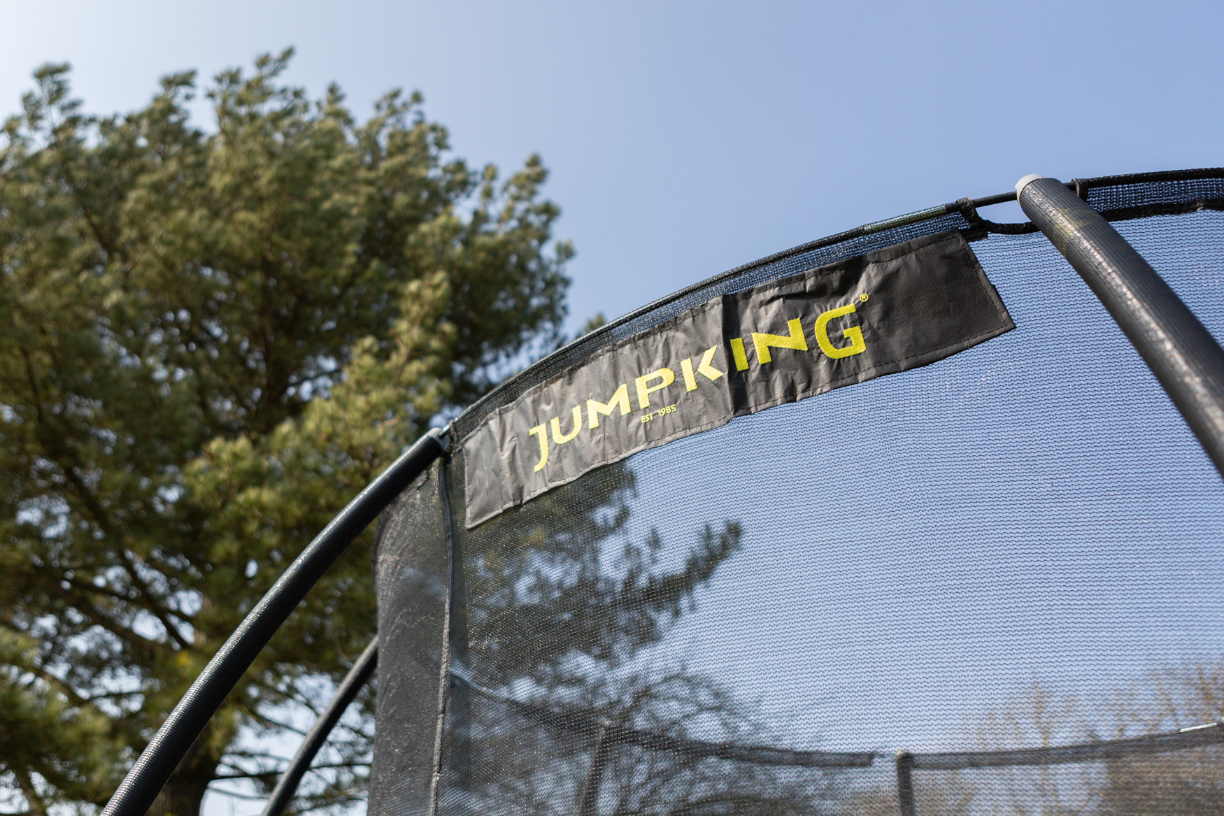 Jumpking in Autumn