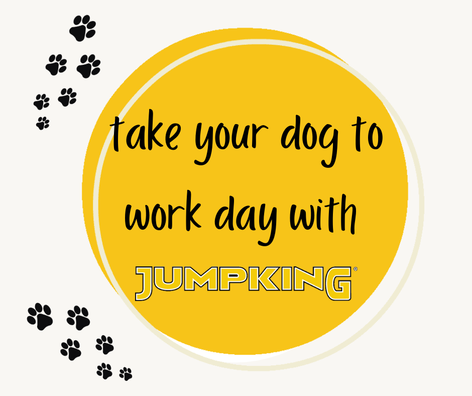 Did you celebrate take your dog to work day?